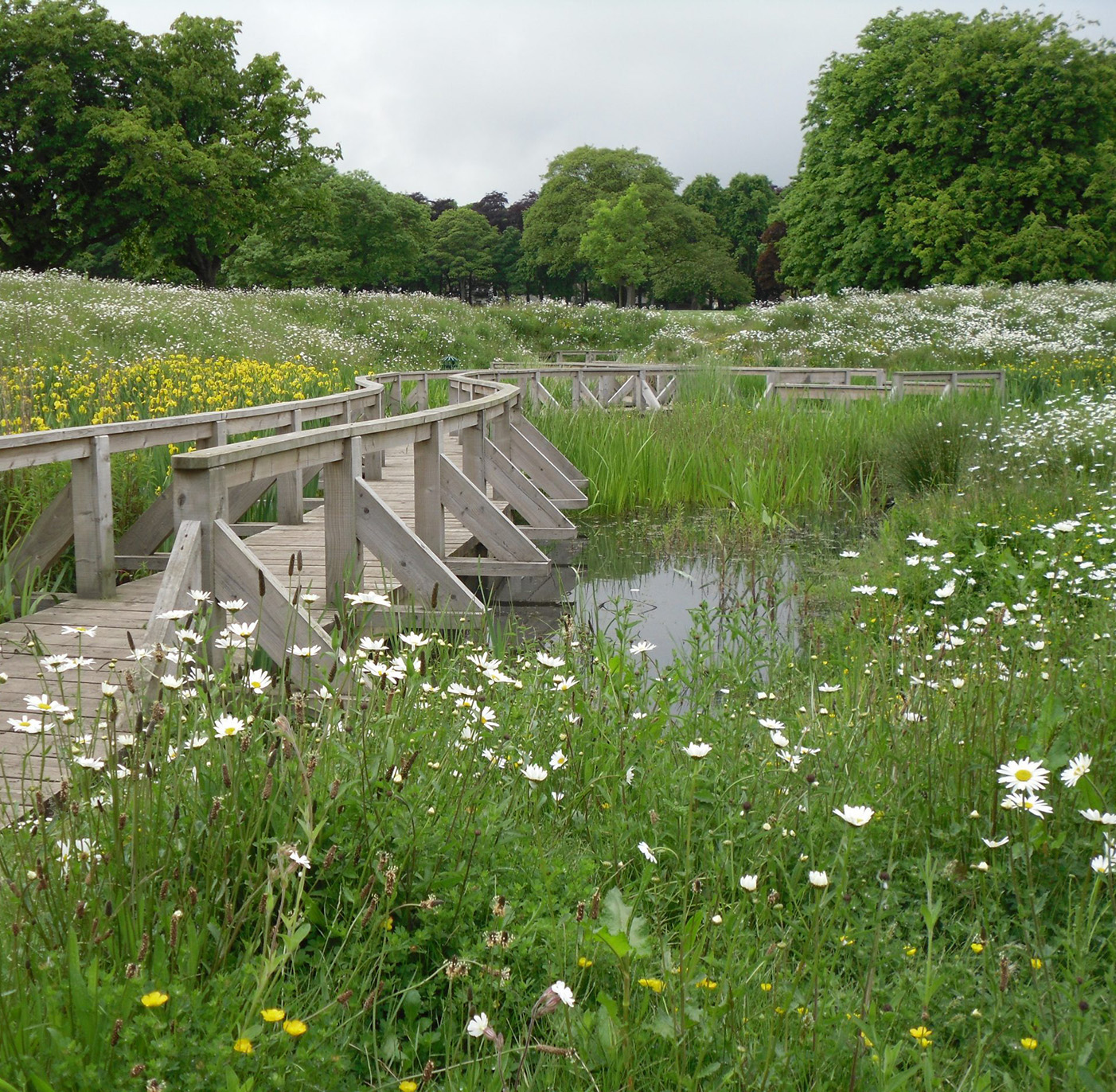 Drainage